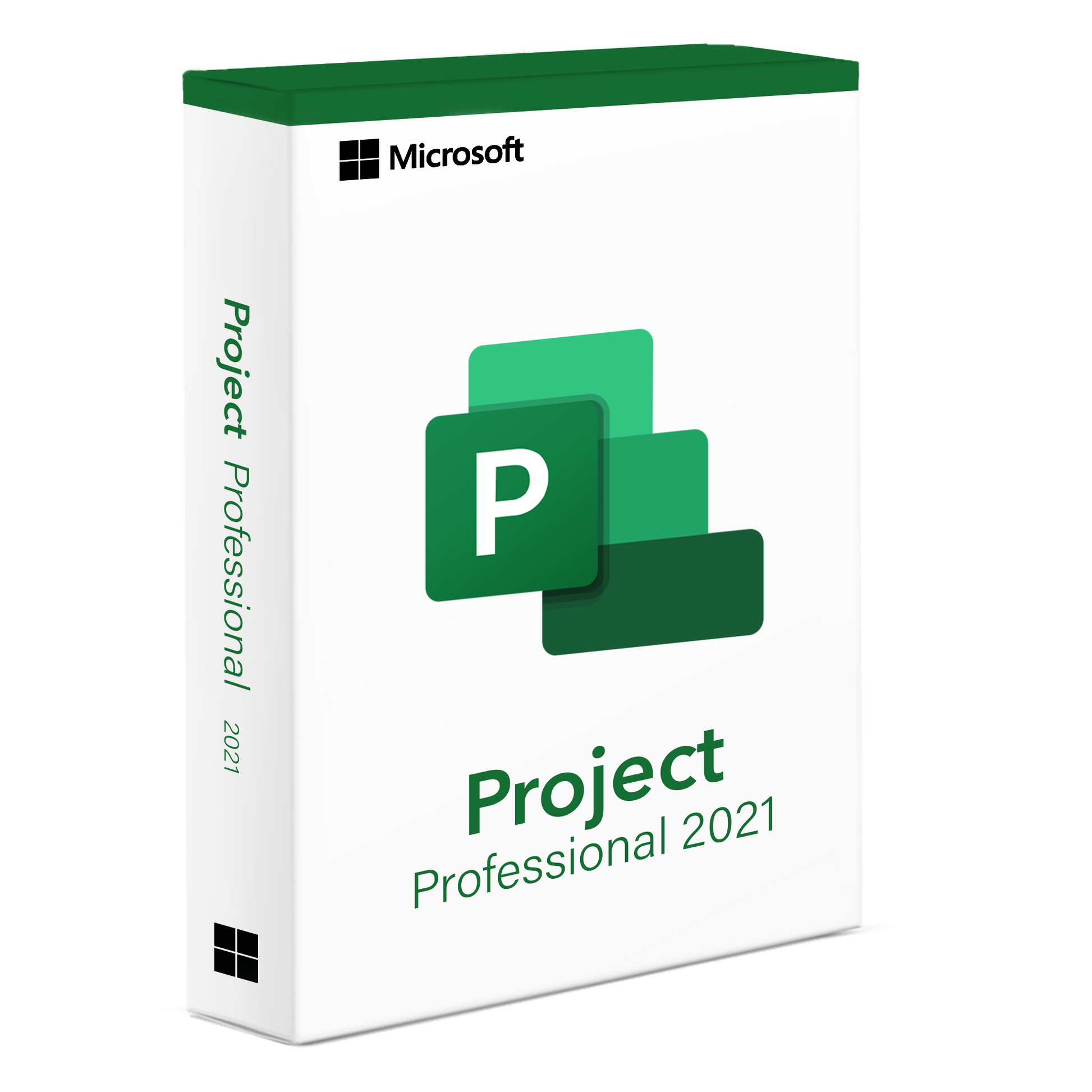 Project 2021 Professional Software for Advanced Project Management